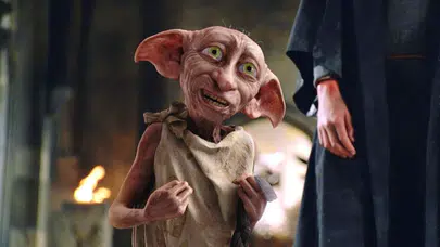 Harry Potter hayranları kazandı: Dobby’nin mezarı enerji projesinden korundu
