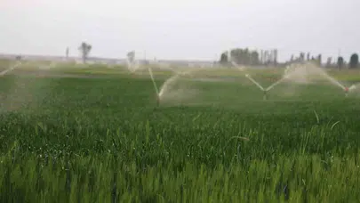 Konya Ovası’nda aşırı su kullanımı dev yarıklar açmaya devam ediyor