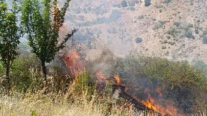 Malatya'da yangın paniği: Çok sayıda bahçe ve üzüm bağı alevlere teslim oldu