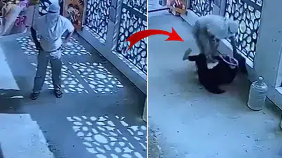 Hindistan'da korkunç infaz: 2 yıllık takıntı okul kapısında kanlı bitti!