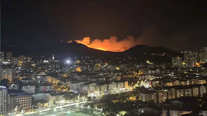 Ankara Mamak'ta çıkan ağaçlık alan yangını kontrol altına alındı