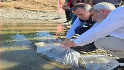 Bilecik'te su kaynakları için 512 bin sazan yavrusu seferberliği