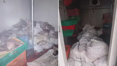 Bodrum'da kasap deposunda 400 kilo bozuk et ele geçirildi