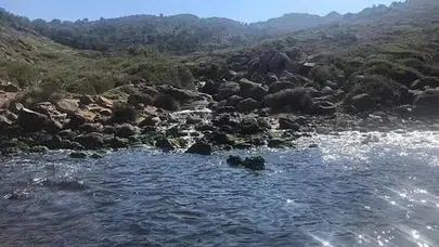 Yeşilköy’de denize koyu renkli su aktı, İSKİ’ye ağır ceza