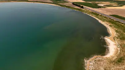 Van Gölü'nün sahili çimen yeşiline büründü: Adilcevaz'da hayran bırakan görüntü