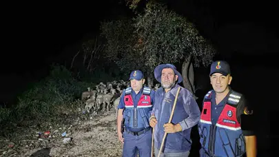 Çoban ve 100 küçükbaş hayvan Eğricay Üçgöletler'de bulundu