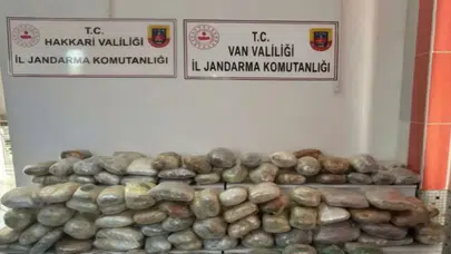 İki ilde uyuşturucu operasyonu: 265 kilo skunk ele geçirildi