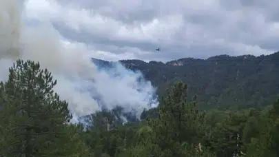 Antalya'da orman yangını 22 saat sonra kontrol altına alındı