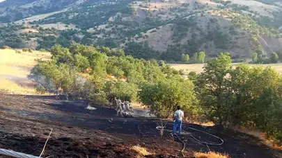 Bingöl'de otluk alanda yangın çıktı, ekipler büyümeden söndürdü