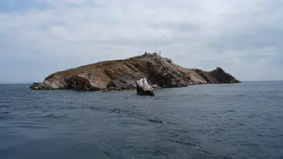 Tavşan Adası’nda uygulanan deniz koruma modeli Antalya Üç Adalar’a taşınıyor