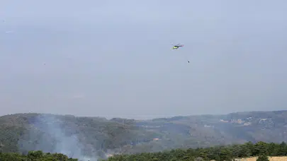 Orman yangınlarında son durum