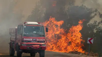Balıkesir'de alevlerle amansız yarış: Gömeç ve Susurluk’tan sevindiren haber