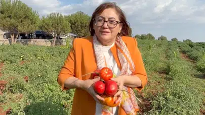 Gaziantep’te tarımda devrim: Yerel tohumlar için düğmeye basıldı