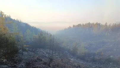 Antalya'da orman yangını: ekipler sabaha kadar alevlerle savaştı