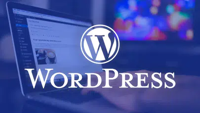 WordPress’te tarihi kriz: Kurucu Matt Mullenweg görevden uzaklaştırıldı!
