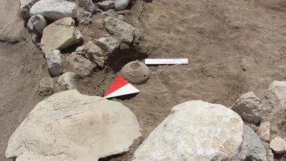 Sadece Ankara'da açan Sevgi Çiçeği'nin en eski izleri Külhöyük'te tespit edildi