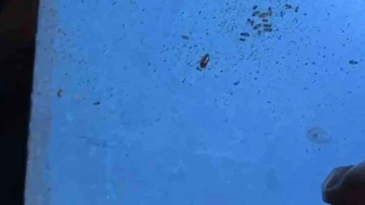 'Siz kabul eder misiniz?' cevabı gündem oldu: Primemall’da mide bulandıran denetim!