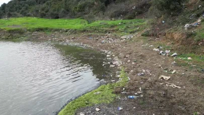 Eyüpsultan göletinde yeşil zehir! Bedelini balıklar ödedi...