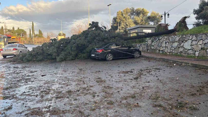 Lodos Kocaeli’yi felç etti... Ağaçlar otomobillerin üzerine böyle devrildi!