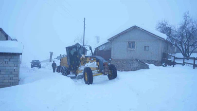 Muş’ta beyaz esaret: İl Özel İdaresi sahada destan yazdı!