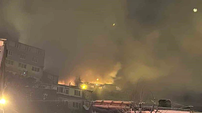 Uludağ eteklerindeki ev küle döndü