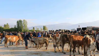 Hayvancılığa tehdit: İl Müdürlüğü'nden pazar yerinde kritik çağrı