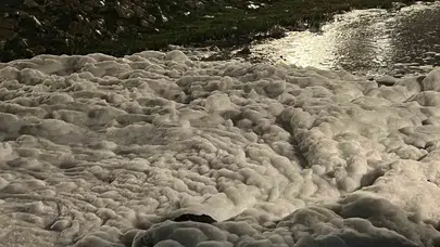 İzmit Körfezi'ni kirleten firmaya 1,6 milyon liralık ceza
