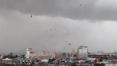Şili’de kasırga dehşeti! Binaların çatıları kağıt gibi havada uçtu