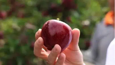 Minikler dalından topladı! Üniversitede sürprizle biten unutulmaz gün