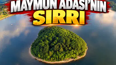 30 yıldır kimse ayak basamıyor! Gölün ortasındaki Maymun Adası’nın sırrı