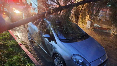 Kırklareli’de geceyi sarsan olay... Şiddetli rüzgar vurdu, ağaç otomobilin üzerine çöktü!
