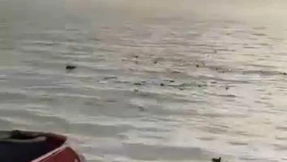 Denizi şehir çöplüğüne çevirdiler