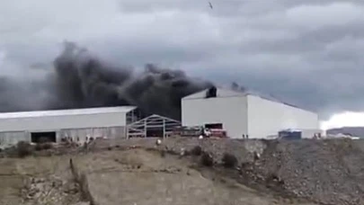 Muğla'da dumanlar kilometrelerce uzaktan görüldü, gökyüzü alevlerle kaplandı!