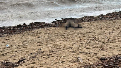 Sahilde bulunan kadın cesedi herkesi üzdü!