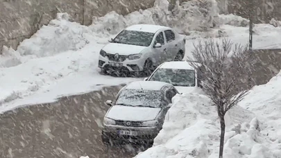 Yüksekova’da lapa lapa kar yağışı başladı