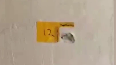 "Polisiz" diyerek eve giren şüpheliler anne ile oğlunu vurdu