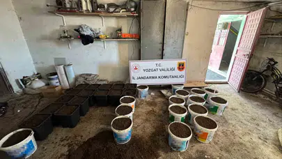 Yozgat'ta evini laboratuvara çevirmişler: Jandarmadan zehir tacirlerine şok baskın