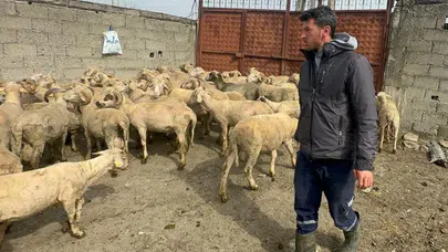 Kurban bereketi hanesine çifte mutluluk getirdi: Geçen yıl düğün yapmıştı, bu yıl baba oluyor