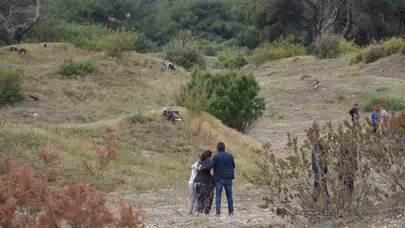 Antalya'da ormanlık alanda acı manzara: Uyuyor sandıkları kişi cansız çıktı