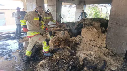 Defne’de korkutan yangın: İtfaiye ekipleri felaketi önledi