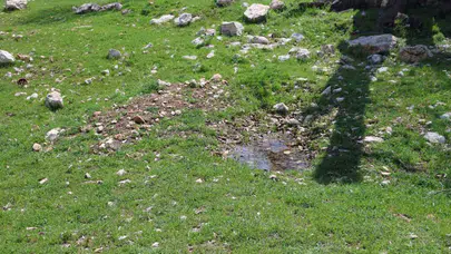 Gülistan Doku dosyasında yeni gelişme: Şüpheli mezar noktası ilk kez görüntülendi