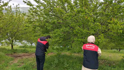 Malatya’da dolu felaketi: Çiftçinin emeği için sahaya indiler
