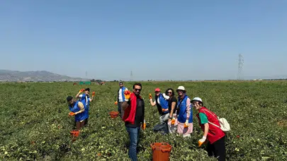 Tarlada ter dökecekler: Gençlerin tarımdaki gücü 2026 hasat takvimiyle sahaya iniyor