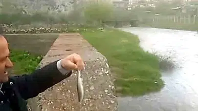 Hasret bitti, Ardıl Çayı yeniden hayat buldu: Yıllar sonra gelen coşku bölgeyi bayram yerine çevirdi
