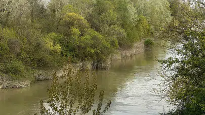 Sakarya Nehri'nde korku dolu bekleyiş: Balık tutarken sulara kapılan çocuk aranıyor