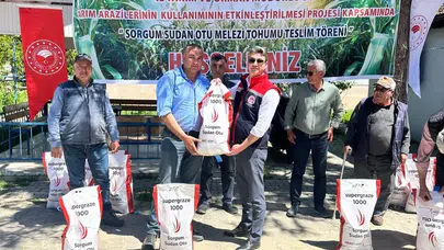 Mısırın tahtını sallayan mucize bitki: Çiftçinin yeni gözdesi sorgum otu dağıtıldı