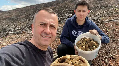 Ormanda hazine avına çıktılar: 4 sepeti doldurup görenleri şaşkına çevirdiler