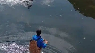 Bafra’da ölümle burun buruna gelmişti: Ekipler seferber oldu, doğaya geri döndü
