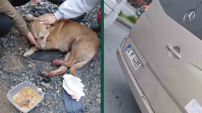 Esenyurt’ta gergin anlar: "Köpeğe çarptın" kavgası kamerada