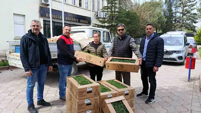 Babaeski'de tarıma büyük destek: 2 bin fide üreticinin yüzünü güldürdü